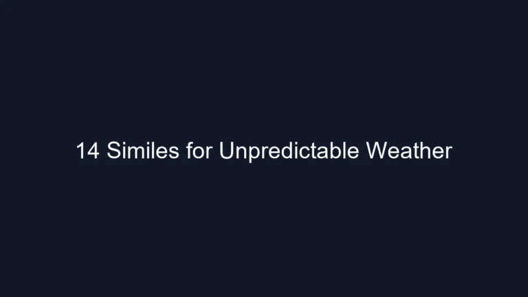 14 Similes for Unpredictable Weather